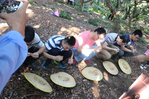 吃荔枝比赛，会不会甜过初恋？！.jpg